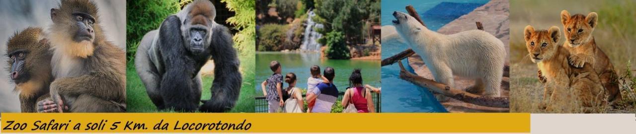Do Pruinc Villa โลโกโรตอนโด ภายนอก รูปภาพ